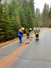 Einsatzfoto Unknown-1.jpeg